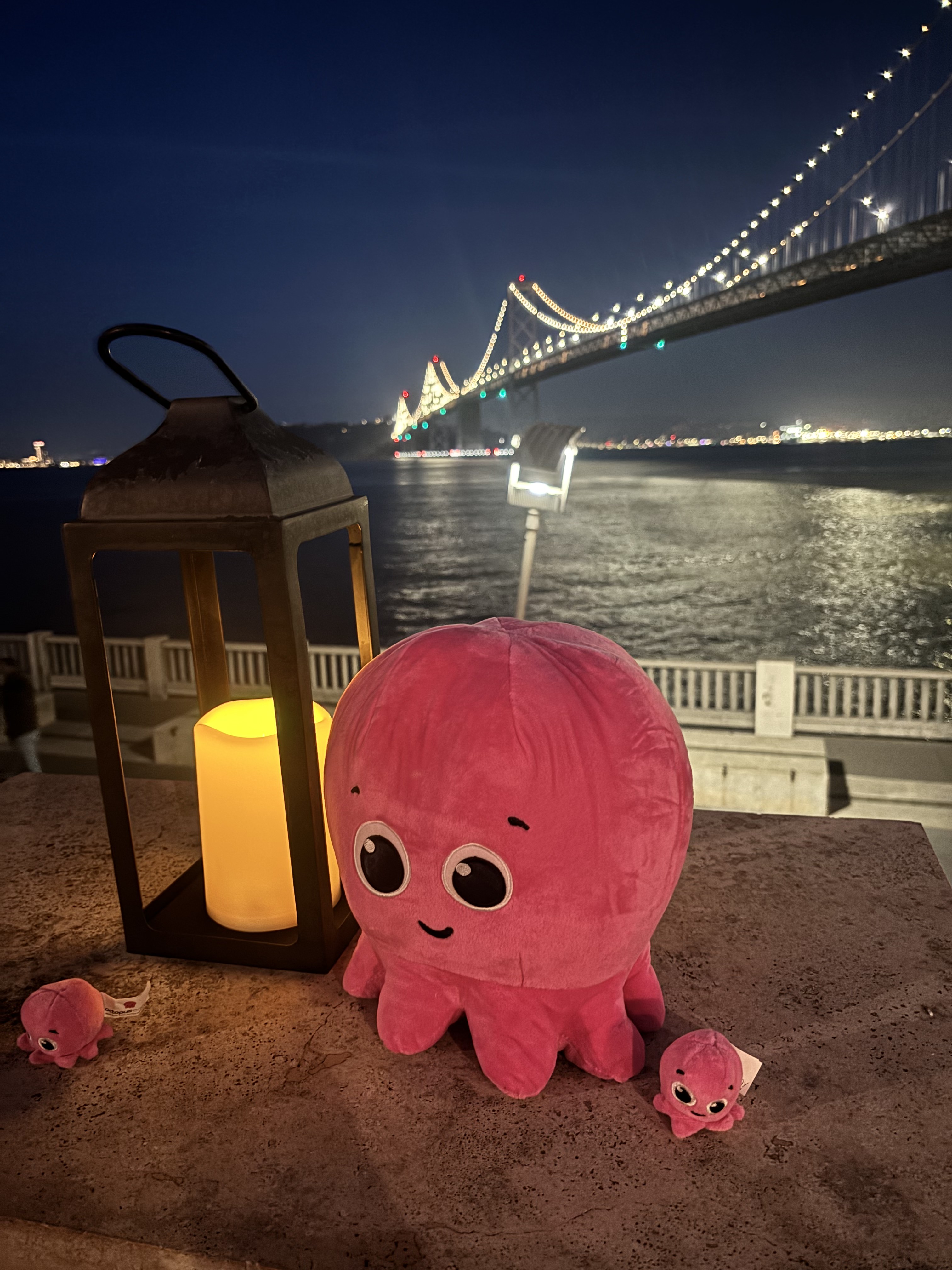Octopus mascot at the San Francisco salon venue